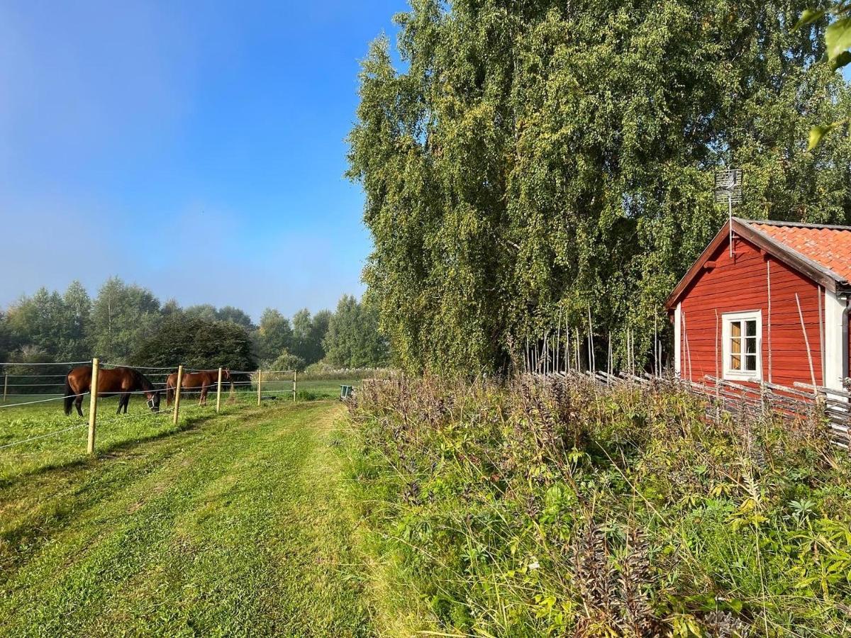 Gammelgarden Guesthouse Ljusdal Exterior photo